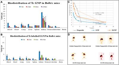 In vitro Toxico-genomics of Etoposide Loaded Gelatin Nanoparticles and Its in-vivo Therapeutic Potential: Pharmacokinetics, Biodistribution and Tumor Regression in Ehrlich Ascites Carcinoma (EAC) Mice Model